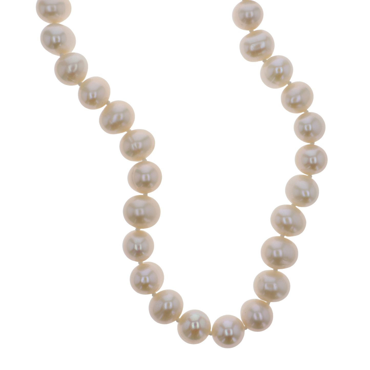 Glamoré Colliers Paula