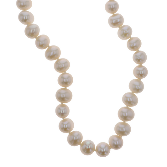 Glamoré Colliers Paula