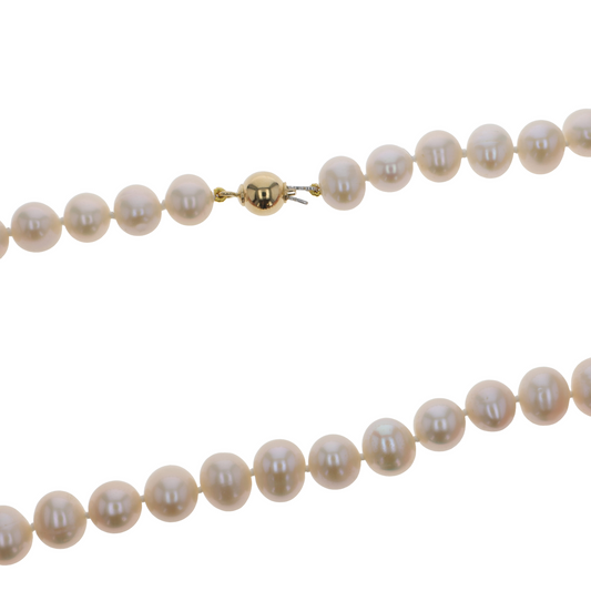 Glamoré Colliers Paula