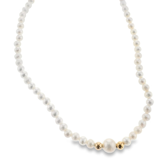 Glamoré Colliers Wola